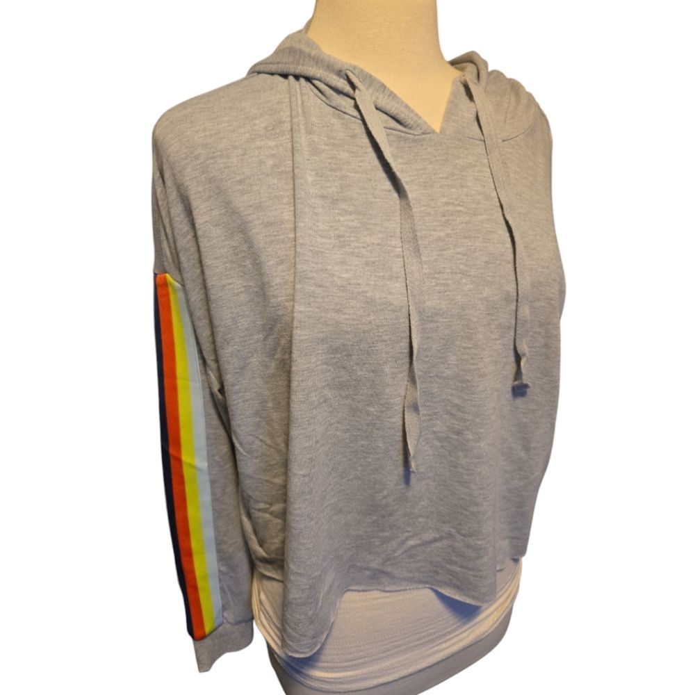 Wild Fable Gray Cropped Hoodie - XL